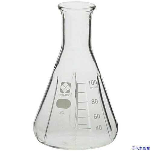 ■SIBATA バッフル付三角フラスコ 100mL 10入 016340100A(6871044)[送料別途お見積り][法人限定][掲外取寄]