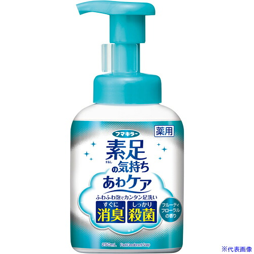 ■フマキラー 素足の気持ち あわケア 250ml 452402(7001248)&times;24[送料別途お見積り][法人限定][掲外取寄]｜セミプロＤＩＹ店ファースト 16,680円