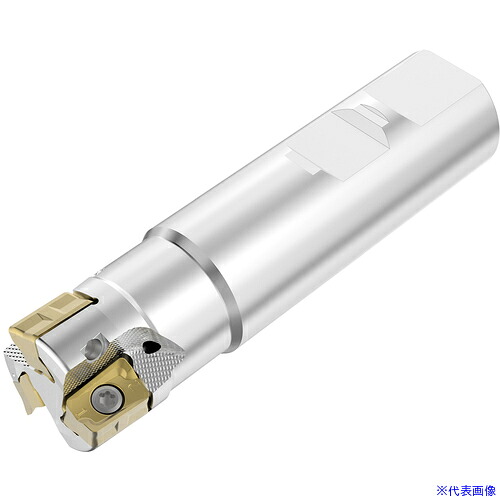 ■R217.64-2525.3-ZO11-3A R217.642525.3ZO113A(7151878)[送料別途お見積り][法人限定][掲外取寄]｜セミプロＤＩＹ店ファースト 32,747円