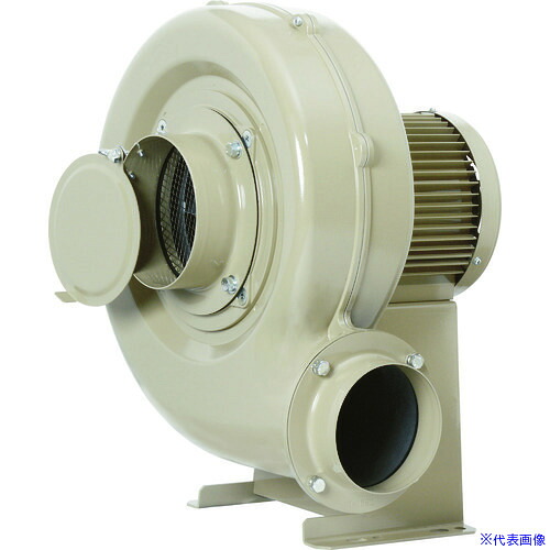 ■昭和 高効率電動送風機 コンパクトシリーズ(0.4kW&minus;400V)右回転 下部水平吐出 ECH04400V(7605862)[送料別途お見積り][法人限定][直送]｜セミプロＤＩＹ店ファースト