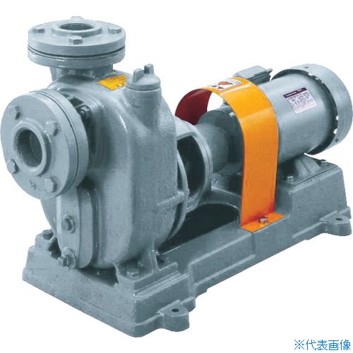 ■TERADA セルプラポンプ 鋳鉄製グランド式 50Hz 0.75kW 全揚程8.5m モーター付 O4GE50HZWM(7756844)[法人限定][直送元]｜セミプロＤＩＹ店ファースト