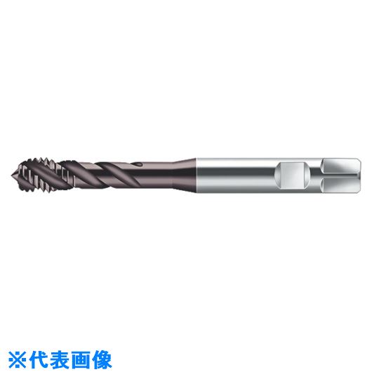 ■Prototyp マシンタップ S2456302G14(8026459)[送料別途お見積り][法人限定][掲外取寄]｜セミプロＤＩＹ店ファースト