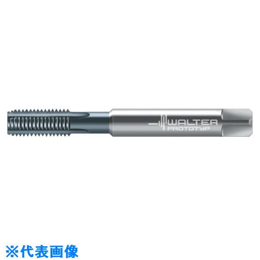 ■Prototyp マシンタップ 8031116M6(8027317)[送料別途お見積り][法人限定][掲外取寄]