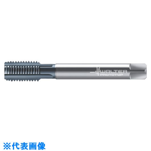 ■Prototyp マシンタップ E2136416M8X1(8027922)[送料別途お見積り][法人限定][掲外取寄]｜セミプロＤＩＹ店ファースト