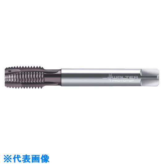■Prototyp マシンタップ EP2126342M8X1(8028341)[送料別途お見積り][法人限定][掲外取寄]