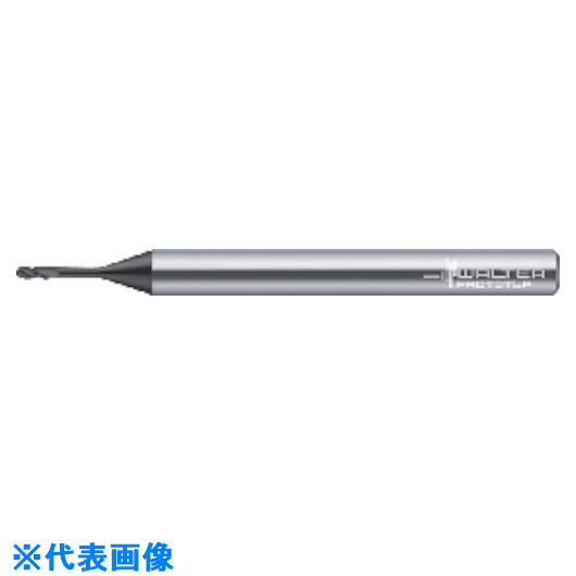 ■Prototyp ミニボールノーズエンドミル H4046919210(8030475)[送料別途お見積り][法人限定][掲外取寄]