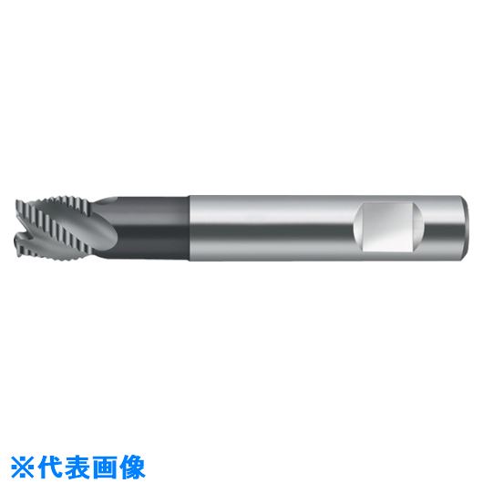 ■Prototyp エンドミル H41892786(8030638)[送料別途お見積り][法人限定][掲外取寄]