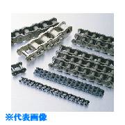 ■KANA KCM ローラチェーンC2060H C2060HPT(8048169)[送料別途お見積り][法人限定][掲外取寄]