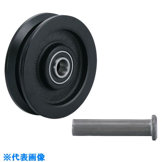 ■SUGATSUNE (200024797)JC110－100V重量用戸車 JC110100V(8207508)[送料別途お見積り][法人限定][掲外取寄]