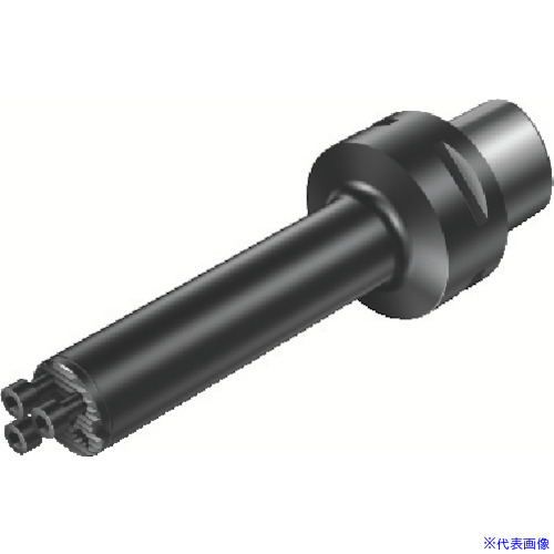 ■SANDVIK コロターンSL(410) C55703C25180(8251595)[送料別途お見積り][法人限定][掲外取寄]