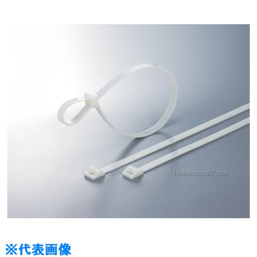 ■TYTON ラッシングタイ RT250タイプ 幅12.5×長さ565mm RT250M(8503836)[送料別途お見積り][法人限定][掲外取寄]
