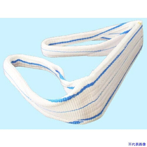 ■TESAC 耐化学薬品用スリング(JIS2等級・両端アイ形)100mm幅×4m PP2E100X4(8518237)[送料別途見積り][法人・事業所限定][掲外取寄]