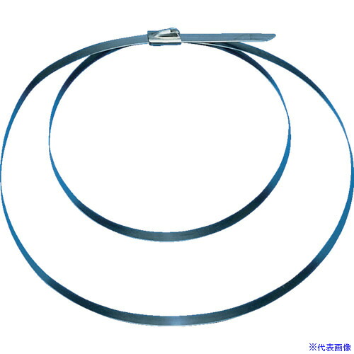 ■PANDUIT MLTタイプ 自動ロック式ステンレススチールバンド ダブルロックタイ SUS316 幅15.9mm 長さ1054mm MLT6DSHQ316(8567544)×4[送料別途お見積り][法人限定][メーカー取寄]
