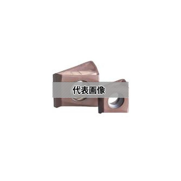 住友電気工業（株）カッタチップ　LNEX130608PNER-G ACK200 10個入