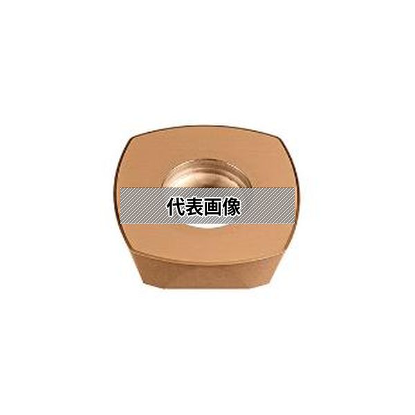 (株)ＭＯＬＤＩＮＯ カッタ用インサート 10個入 SDNW1505ZDTN-R15 CY250