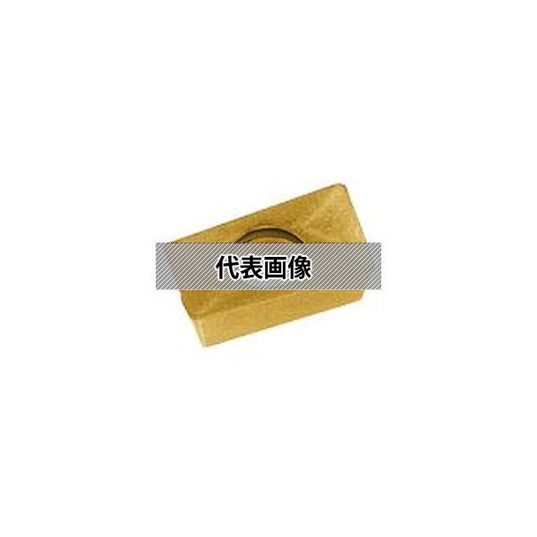 (株)ＭＯＬＤＩＮＯ カッタ用インサート 10個入 APMT12T308R CY250