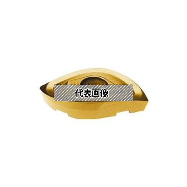 (株)ＭＯＬＤＩＮＯ カッタ用インサート 10個入 ZCET100CE JP4120