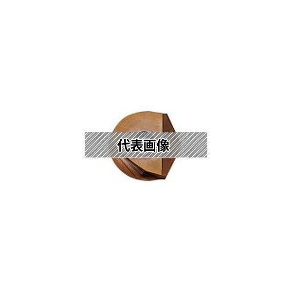 (株)ＭＯＬＤＩＮＯ カッタ用インサート 2個入 ZDFG120-SC PN08M