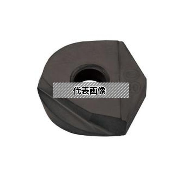 (株)ＭＯＬＤＩＮＯ カッタ用インサート 2個入 ZDFG300SK TH303