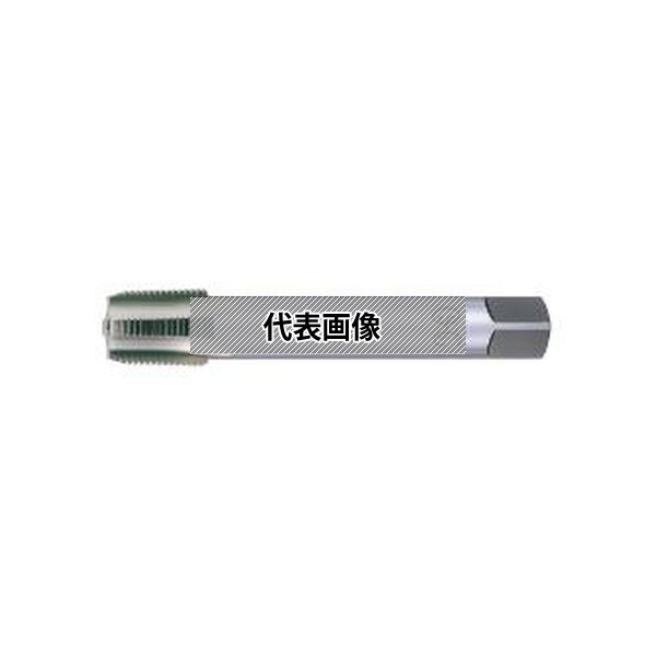 オーエスジー（株） 管用テーパタップ LT-S-TPT H 2 PT1/8-28X150
