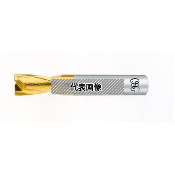 中古】土着語の政治:ナショナリズム・多文化主義・シティズンシップ