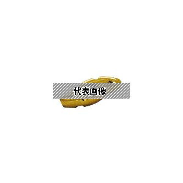(株)ＭＯＬＤＩＮＯ カッタ用インサート 2個入 ZCET250SK-N CY250