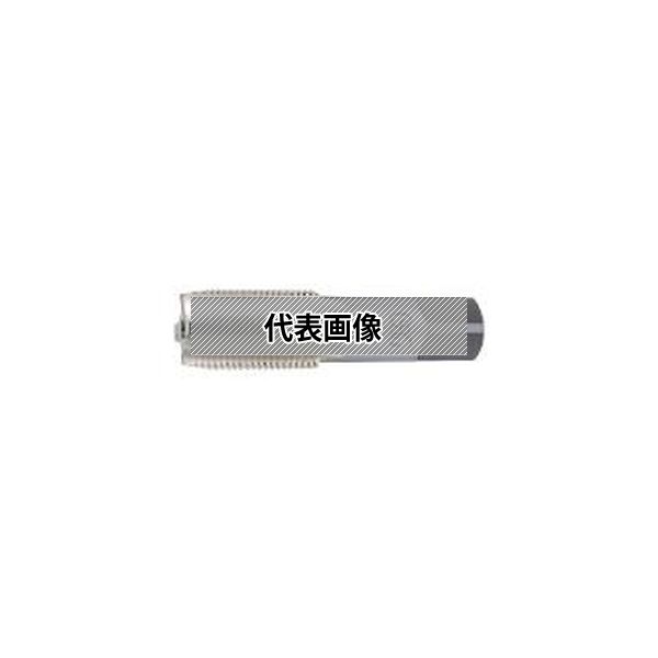 オーエスジー（株） 管用平行タップ SPT H G3/8-19