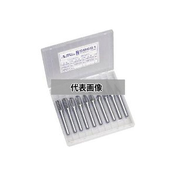 （株）スーパーツール 超硬バー　１０Ｐ　セット SB6S1