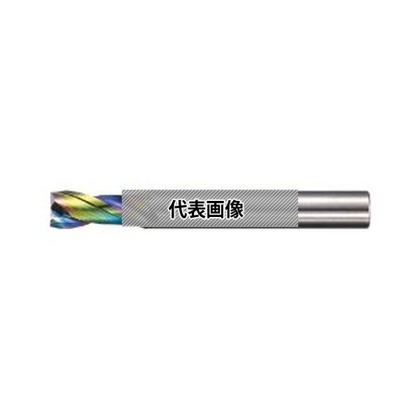 (株)ＭＯＬＤＩＮＯ エポック　スクエア EPAS2100-SD