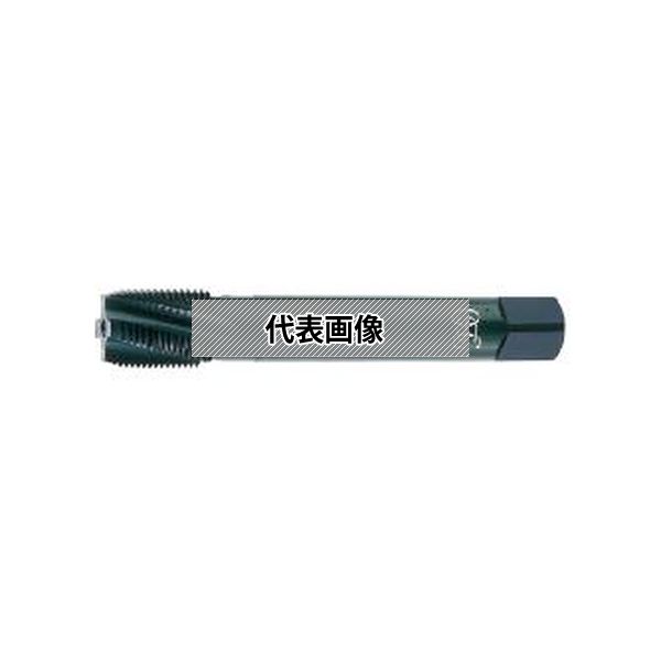 オーエスジー（株） 管用テーパタップ LTSUS-S-TPT HSE 2 PT1/4-19X120