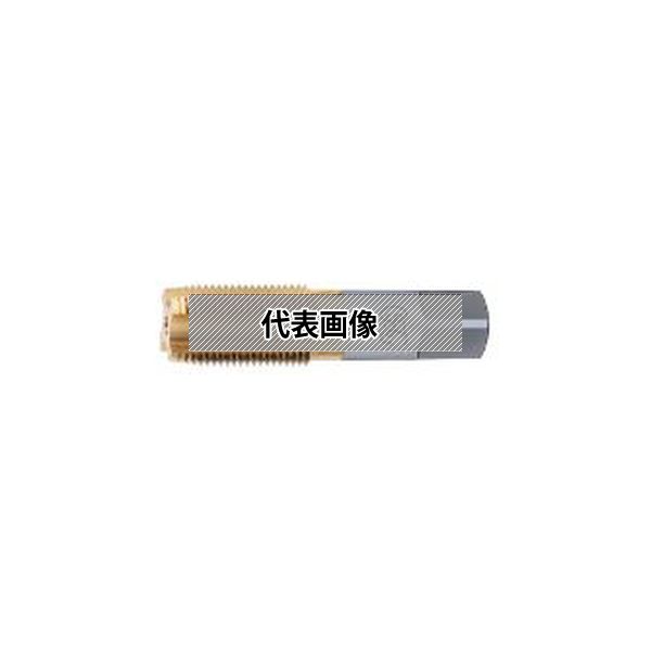 中古】土着語の政治:ナショナリズム・多文化主義・シティズンシップ