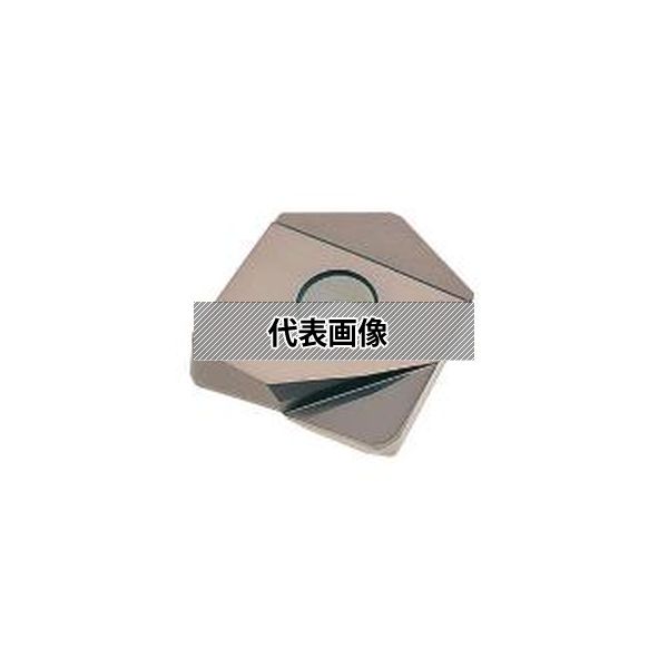 (株)ＭＯＬＤＩＮＯ カッタ用インサート 2個入 ZCFW200-R2.0 PCA12M