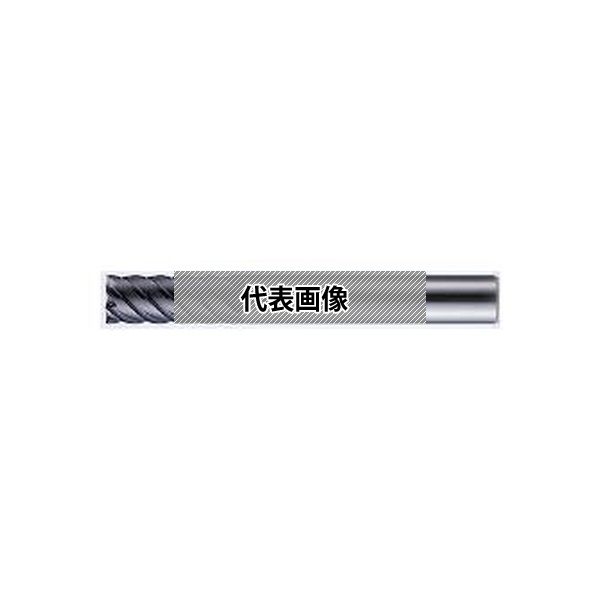 (株)ＭＯＬＤＩＮＯ エポック２１(スクエア) CEPR6200