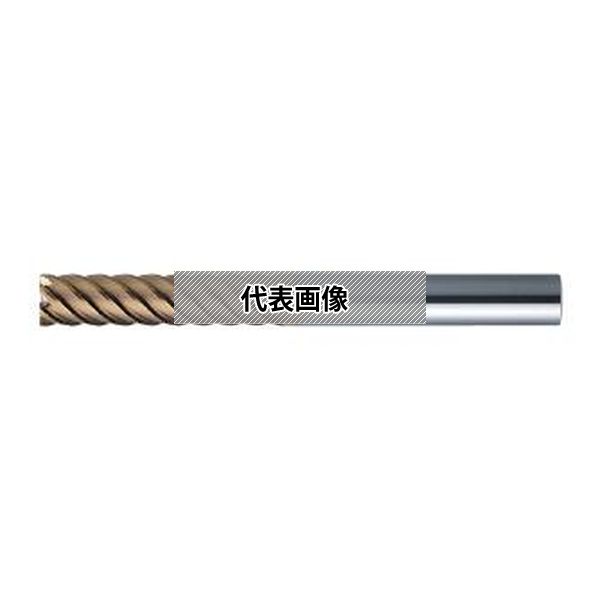 (株)ＭＯＬＤＩＮＯ エポック　ハード CEPL6160-TH