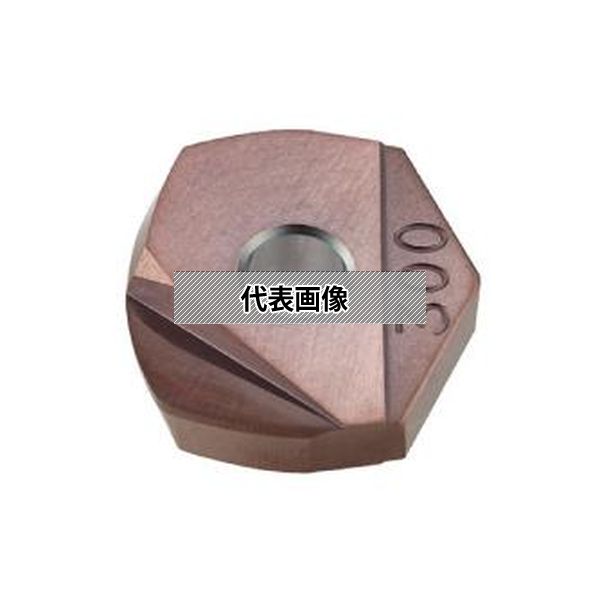(株)ＭＯＬＤＩＮＯ カッタ用インサート 2個入 ZPHW250-LB25 TH308 15,935円