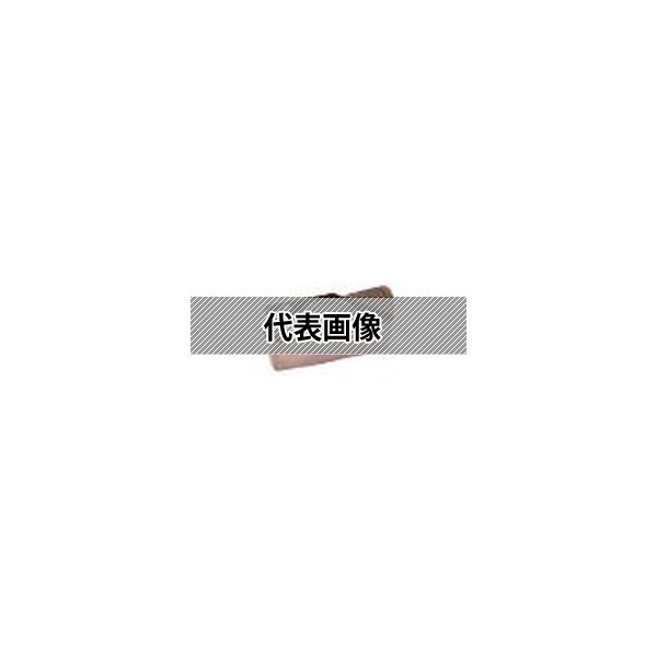 (株)ＭＯＬＤＩＮＯ カッタ用インサート 10個入 MPHT040202ZEL TH308