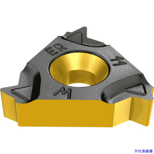 ■イスカル ウィットワースねじ切りチップ ER/L－W IC808 16ERM19W(IC808)(1184769)×5[送料別途お見積り][法人限定][掲外取寄]