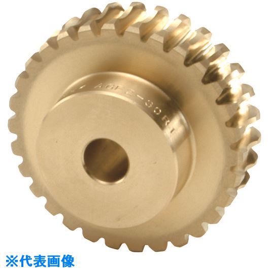 ■KHK ウォームホイールAGF2－30R1 AGF230R1(1260498)[送料別途お見積り][法人限定][掲外取寄]