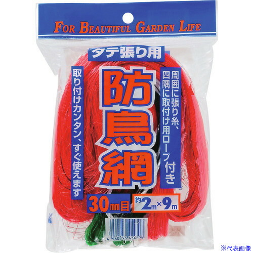 緑であること活動の領域