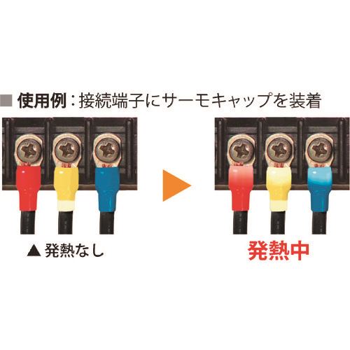 緑であること活動の領域