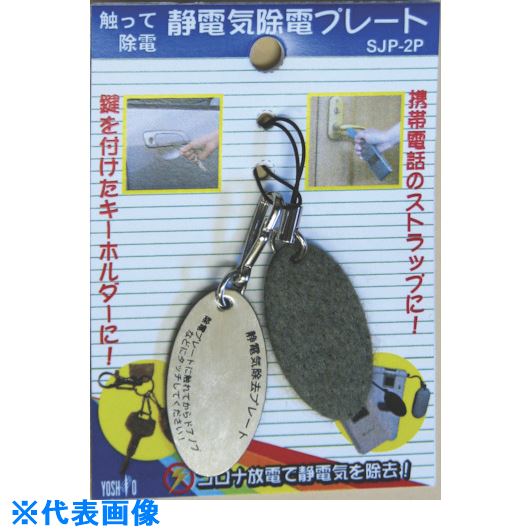緑であること活動の領域