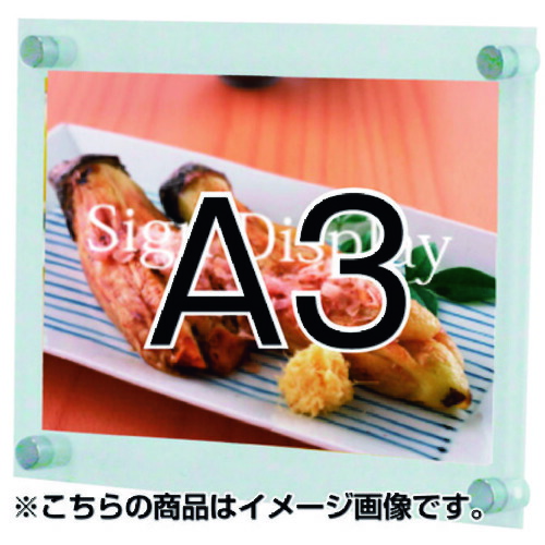 緑であること活動の領域
