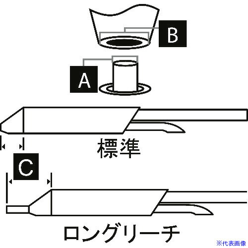 緑であること活動の領域