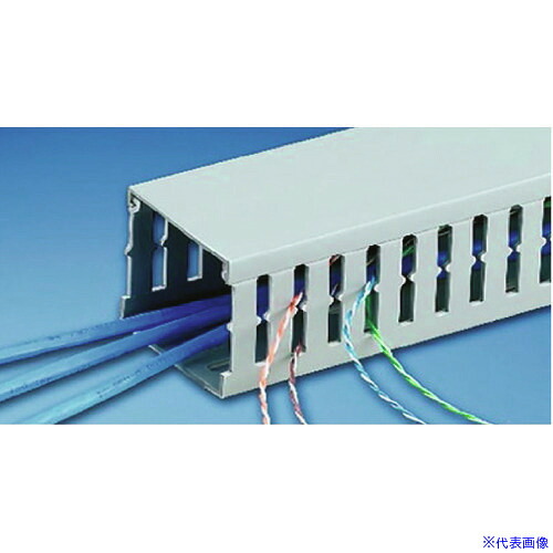 ■PANDUIT スタッドタイマウント 2M(メートル) 1本 TNC100X75LG2(1477459)[送料別途お見積り][法人限定][掲外取寄]｜ファーストFACTORY