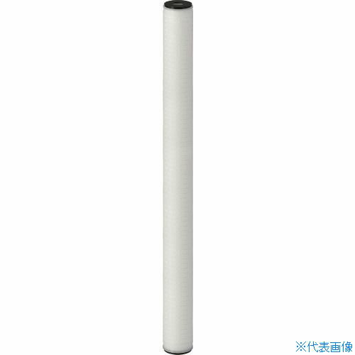 緑であること活動の領域