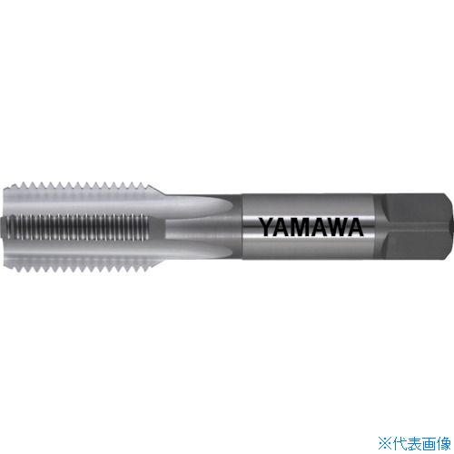緑であること活動の領域