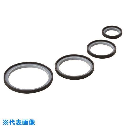 2021年ファッション福袋 液晶保護フィルム フロンケミカル サニタリーl型ガスケット Epdm Ptfe 1 5s 10枚入 品番 Nr2117 002 Tr 1531373 10 送料別途見積り 法人 事業所限定 メーカー取寄