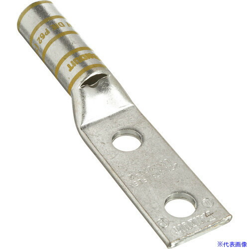 ■PANDUIT 銅製圧縮端子 2穴 電線サイズ 250 kcmil 取付穴サイズ 135mm 取付穴間隔 445mm LCCX250&minus;12&minus;X LCCX25012X(1578746)[送料別途お見積り][法人限定][掲外取寄]｜ファーストFACTORY