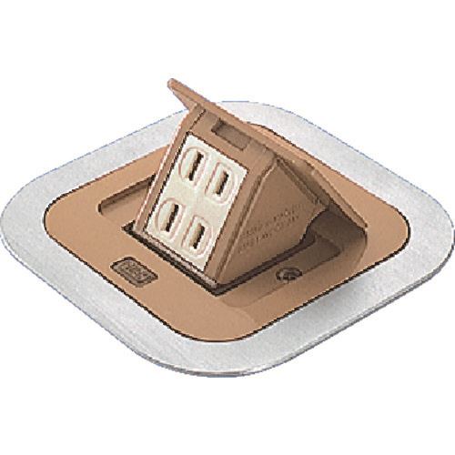 緑であること活動の領域