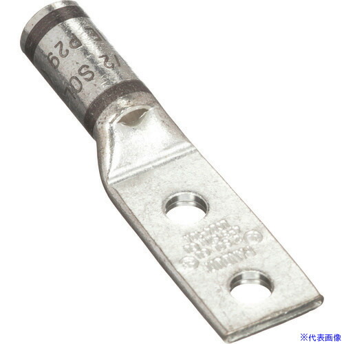 ■PANDUIT 銅製圧縮端子 2穴 撚り線電線サイズ AWG4 AWG3 単線電線サイズ AWG2 取付穴サイズ 9.5mm LCD4－38D－L LCD438DL(1586800)[送料別途お見積り][法人限定][掲外取寄]
